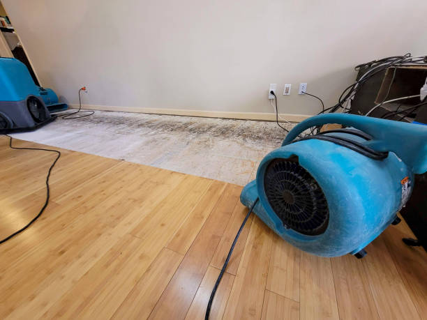 Professional Structural Drying technician working in Macomb, OK